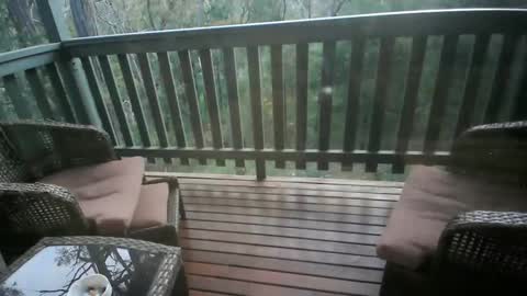 Snapshot of 101jama101 chatting on November 2025 09:19:02 AM Intenseduo online show from November 2025 09:19:02 AM