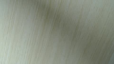 Aurora Willows online show from April 2026 02:48:01 AM