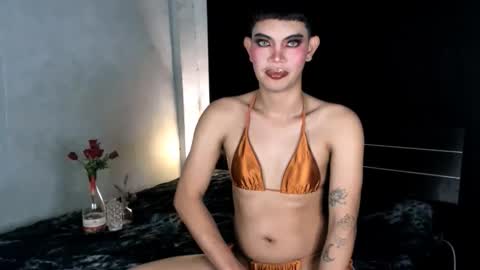 Leren online show from January 2025 05:22:02 PM