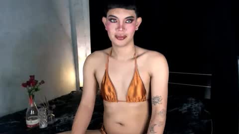 Leren online show from January 2025 04:46:02 PM