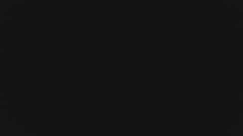 1900pley online show from April 2026 02:05:01 PM