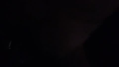 Lillycakes online show from April 2026 01:41:01 PM