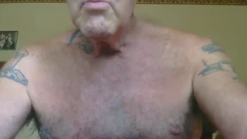 Pizza online show from September 2025 08:43:01 PM