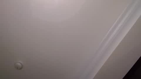 28loads online show from October 2025 03:16:02 AM