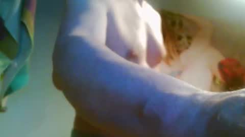 41bigdick41 online show from April 2026 03:45:01 PM