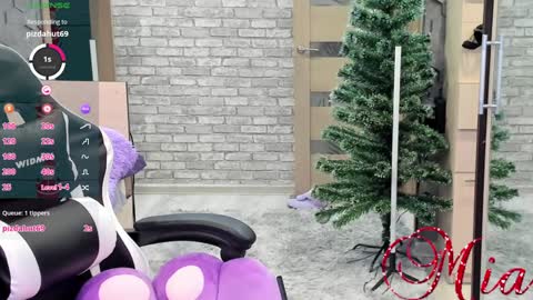 Mia my pvt is open and lovense is active online show from December 2024 12:49:02 PM