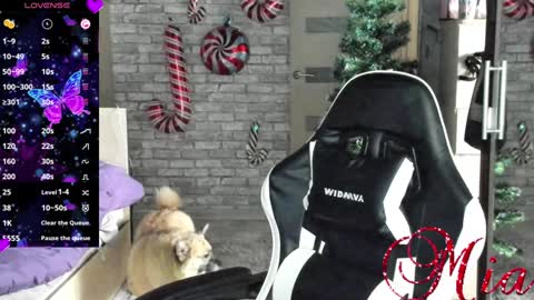Mia my pvt is open and lovense is active online show from December 2024 08:11:02 AM
