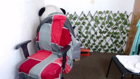 69 tania santos online show from January 2025 06:56:01 PM