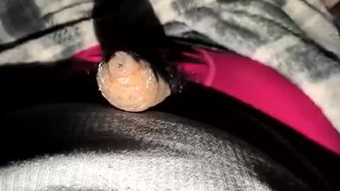 69angel96 online show from December 2025 06:33:01 AM