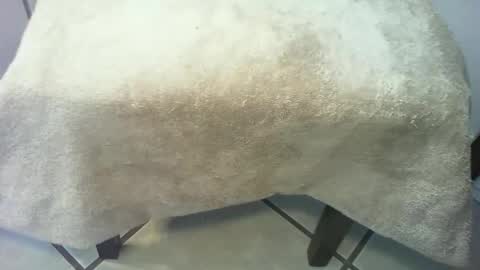 69forever453443 online show from March 2026 02:56:02 PM