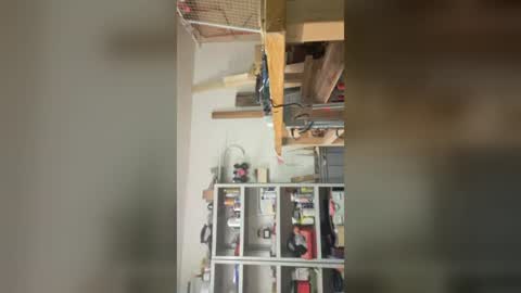 69x69e69s69 online show from June 2026 06:56:01 PM