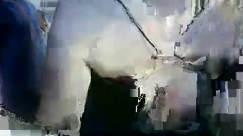 Lilu online show from January 2026 09:53:02 PM