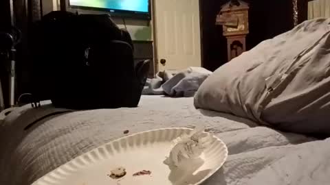 7lairddip online show from March 2026 06:24:02 AM