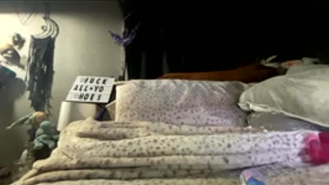 That girl online show from March 2026 02:57:01 PM