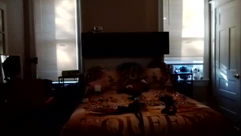 KittyPoo107 online show from June 2026 11:57:01 AM