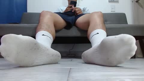 Alpha pprs online show from February 2026 12:19:01 PM