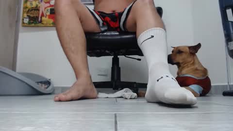 Alpha pprs online show from March 2026 12:18:01 AM