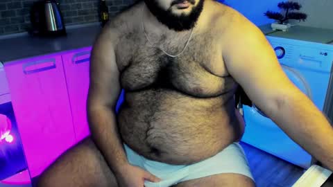 Snapshot of _alan_bear_ chatting on December 2024 08:27:02 PM Alan online show from December 2024 08:27:02 PM