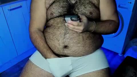 Snapshot of _alan_bear_ chatting on December 2024 12:27:01 AM Alan online show from December 2024 12:27:01 AM