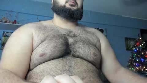 Snapshot of _alan_bear_ chatting on January 2025 03:23:01 AM Alan online show from January 2025 03:23:01 AM