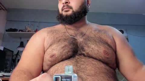 Snapshot of _alan_bear_ chatting on January 2025 01:43:01 PM Alan online show from January 2025 01:43:01 PM