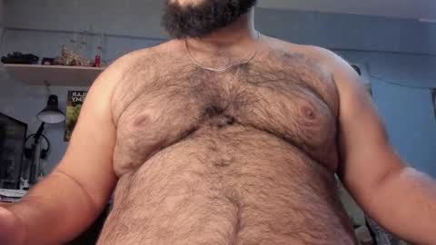 Snapshot of _alan_bear_ chatting on January 2025 02:31:02 PM Alan online show from January 2025 02:31:02 PM