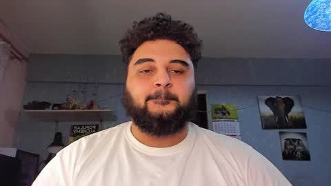 Snapshot of _alan_bear_ chatting on February 2025 03:50:01 PM Alan online show from February 2025 03:50:01 PM