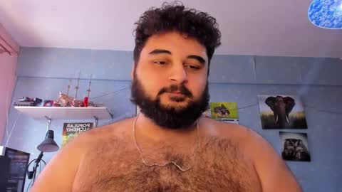 Snapshot of _alan_bear_ chatting on February 2025 05:25:01 AM Alan online show from February 2025 05:25:01 AM