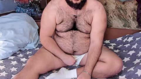 Snapshot of _alan_bear_ chatting on February 2025 10:10:01 AM Alan online show from February 2025 10:10:01 AM