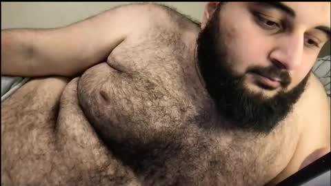 Snapshot of _alan_bear_ chatting on October 2025 03:42:01 PM Alan online show from October 2025 03:42:01 PM