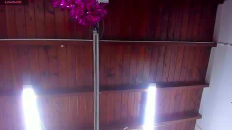 Snapshot of _aniisha_ chatting on February 2025 07:14:01 PM Any online show from February 2025 07:14:01 PM