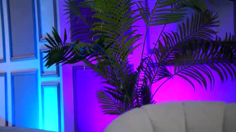 Arielle online show from February 2026 07:59:02 AM