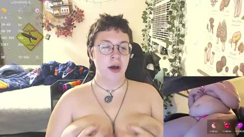 bandit online show from July 2026 04:41:01 AM