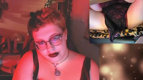 bandit online show from July 2026 05:05:02 AM