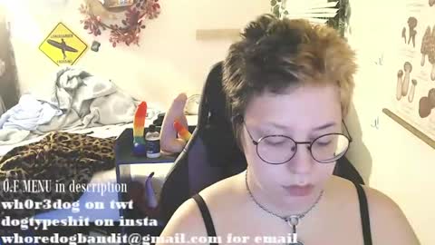 bandit online show from July 2026 02:40:01 AM