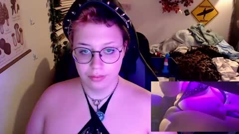 bandit online show from August 2026 03:53:02 AM