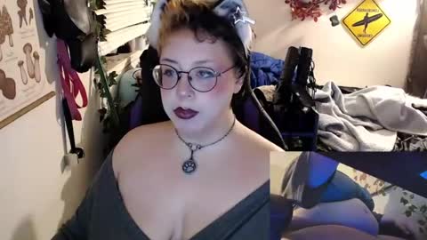 bandit online show from August 2026 06:26:02 AM