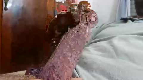 _black_horse_1 online show from December 2025 02:43:02 AM