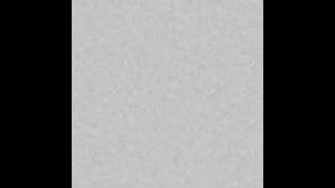 Brenda online show from February 2025 12:01:02 PM