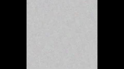 Brenda online show from February 2025 12:28:01 PM