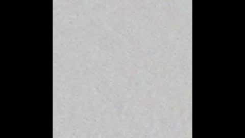 Brenda online show from September 2025 11:55:01 AM