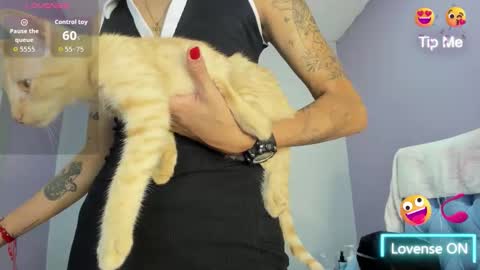  candy jade  online show from November 2025 11:58:01 AM