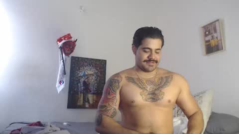  coddy  nolove online show from December 2024 12:38:01 PM