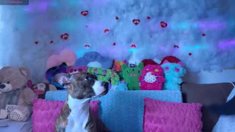 Kate online show from March 2026 09:06:02 AM