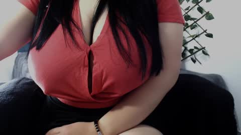 Dannia online show from December 2024 01:43:02 PM