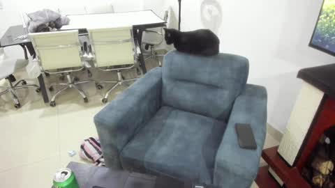 Emma online show from January 2025 01:15:01 AM