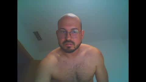 furby online show from February 2026 07:10:01 PM