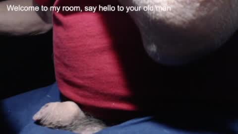 _jimmini online show from February 2025 04:16:02 PM