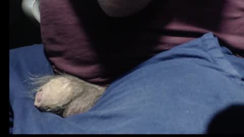 _jimmini online show from February 2026 08:59:01 PM