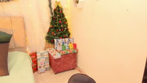 Snapshot of _little_ivy chatting on December 2024 05:07:02 AM Ivy 3 online show from December 2024 05:07:02 AM
